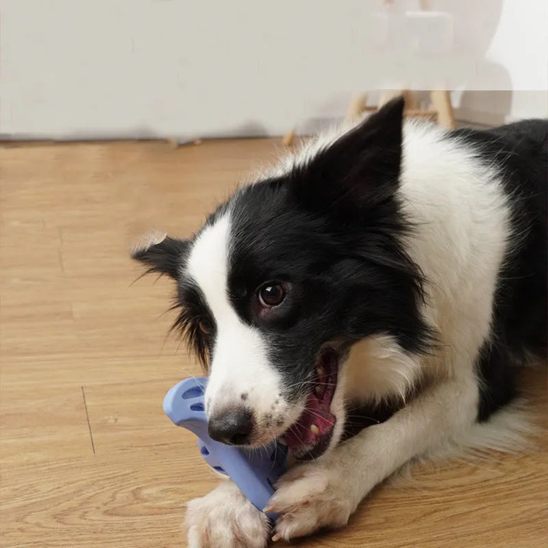 Blue bite-resistant rubber boomerang dog chew toy for medium and large breeds