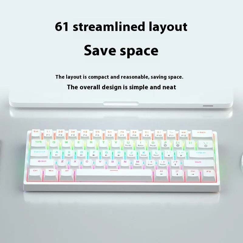 Small 61-key wired mechanical keyboard with hot-swappable sockets in blue and white colour scheme