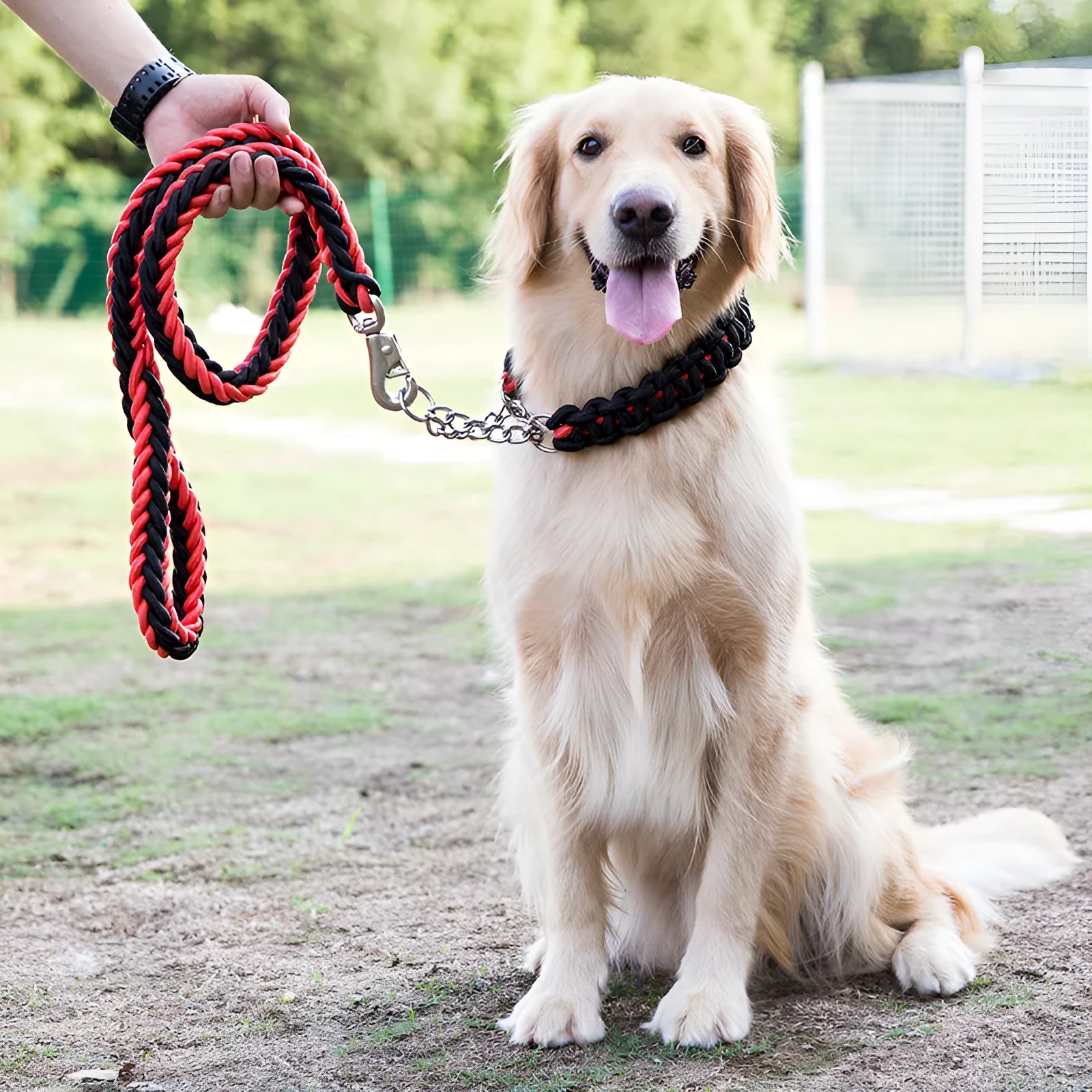 Heavy-duty nylon braided dog collar and leash set in black with rotatable hook on a dog