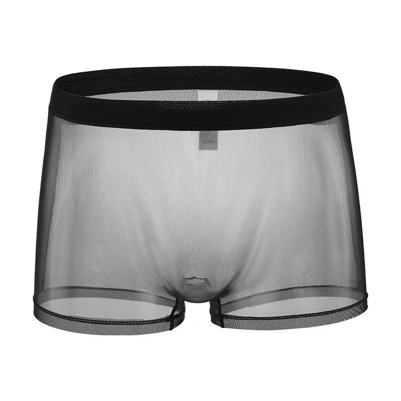 Sheer black men's mesh boxer briefs with a low-waist design on a white background.