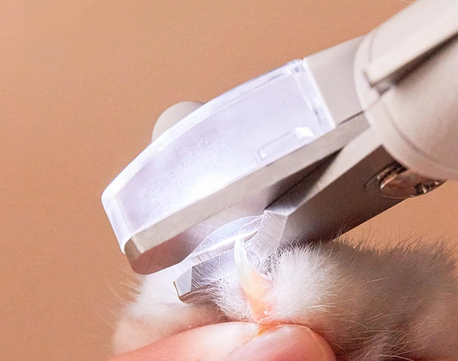 White LED pet nail clipper with transparent splash guard and triangular blade for cats and dogs