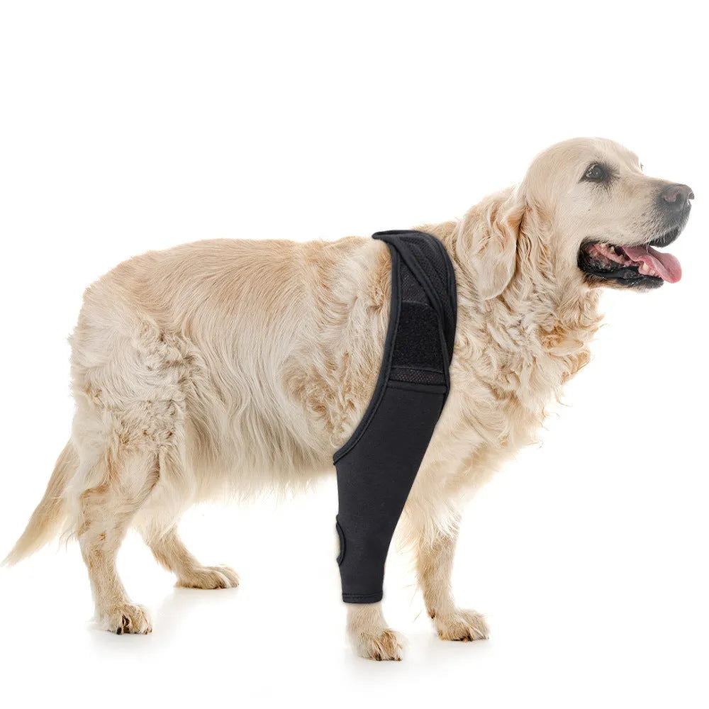 Pet knee pad for dog joint injury recovery with adjustable belt on a light background, S to XL sizes available
