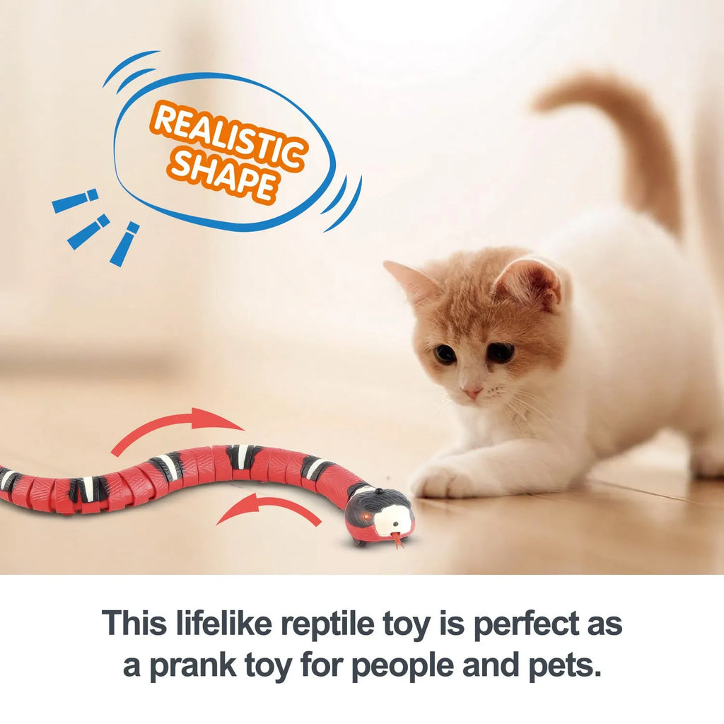 USB rechargeable automatic electronic snake cat toy with segmented plastic body on floor.