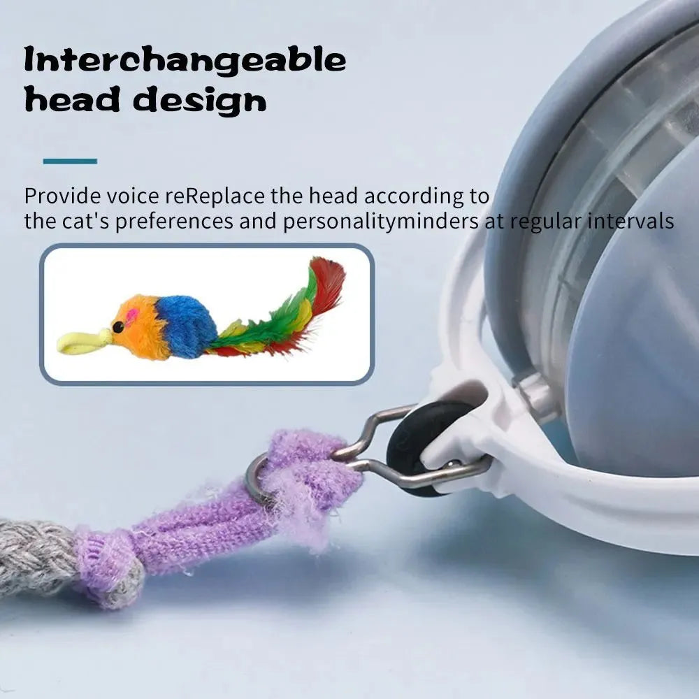 Upgrade cat interactive ball toy with faux tail, laser pointer, and voice reminder in colour options