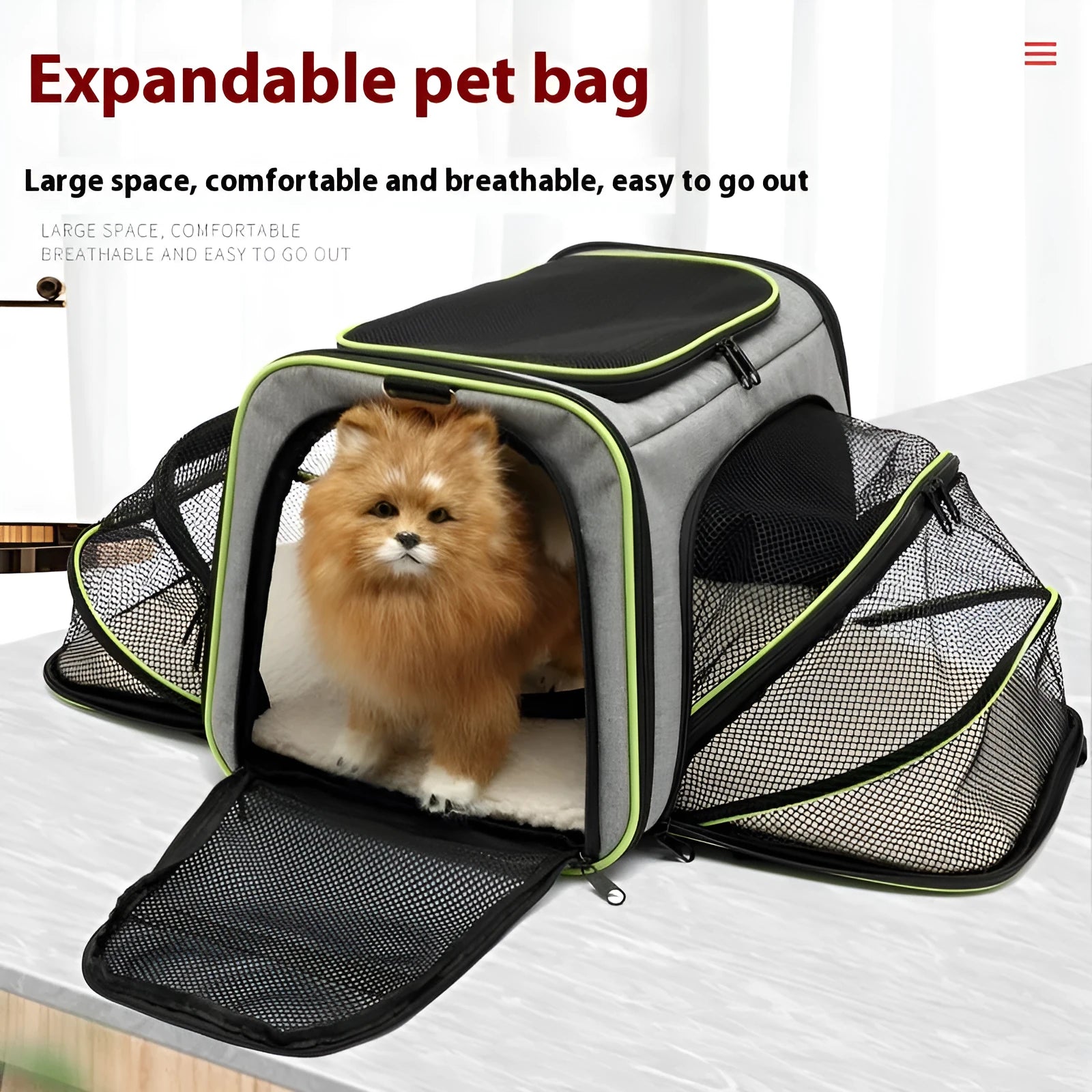 600D cation fabric cat carrier bag in black with red piping, showing medium-soft construction and large capacity design