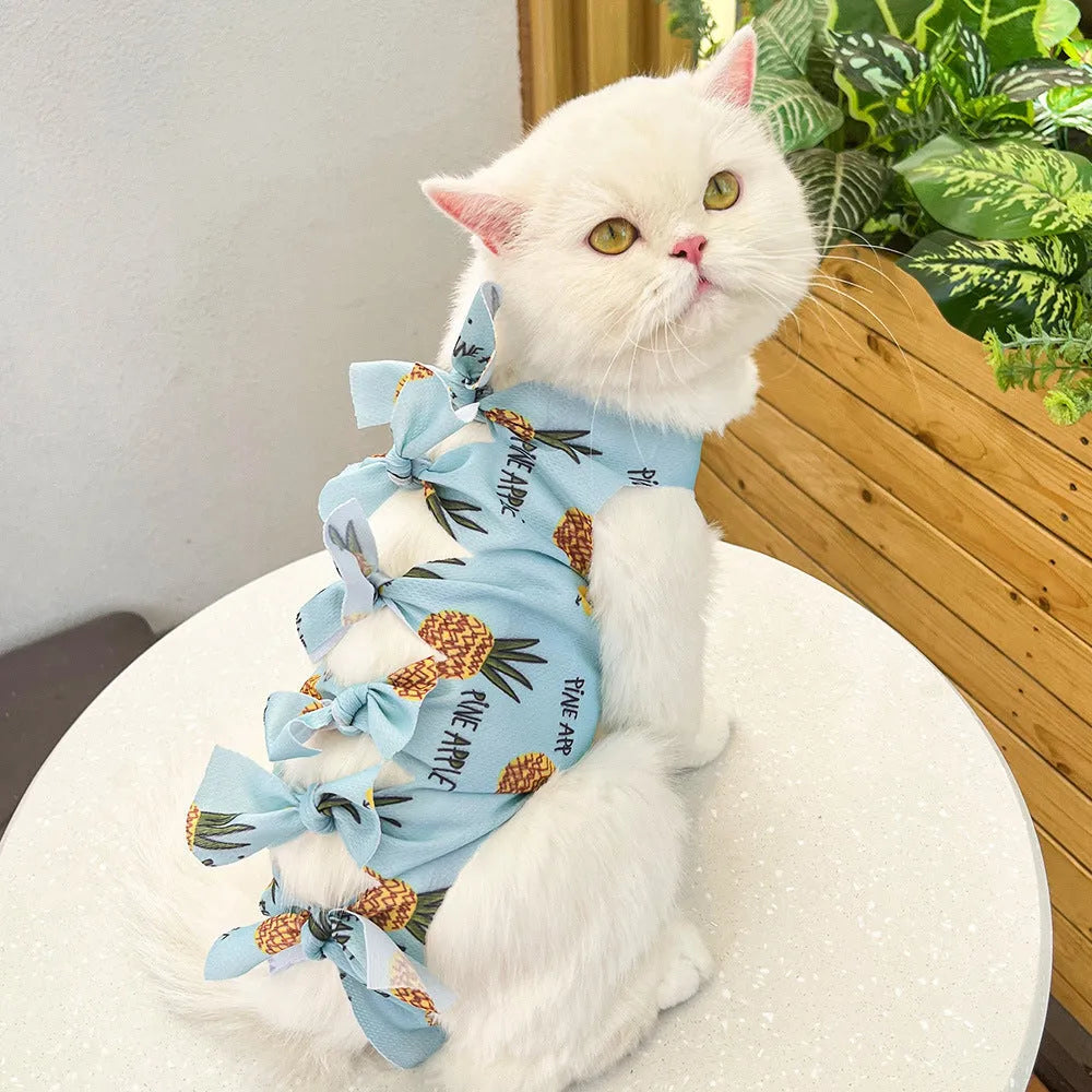 Cat wearing blue polyester recovery suit with lace-up back closure after sterilisation surgery