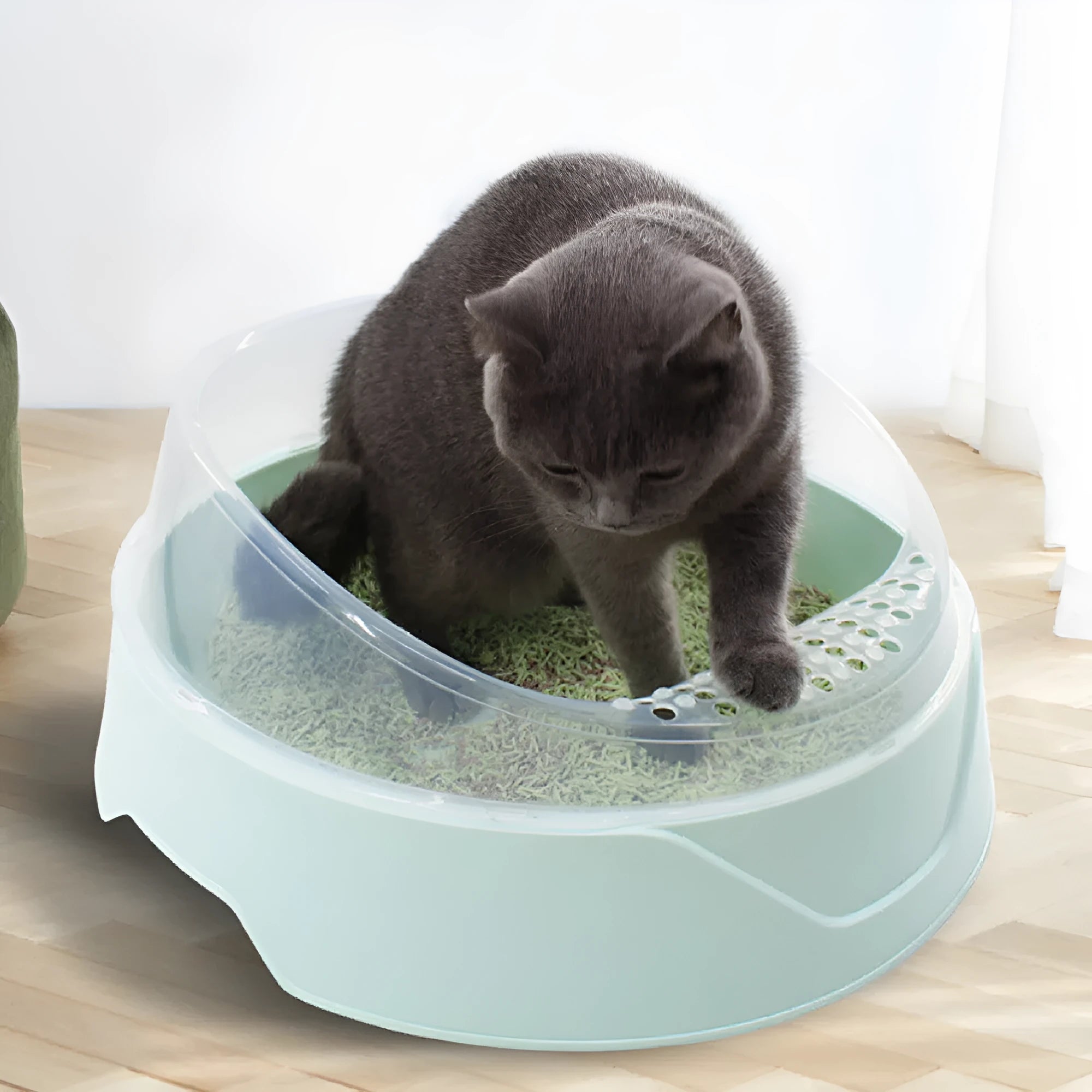 Round mint green PP plastic cat litter box with deodorant function on a white background.
