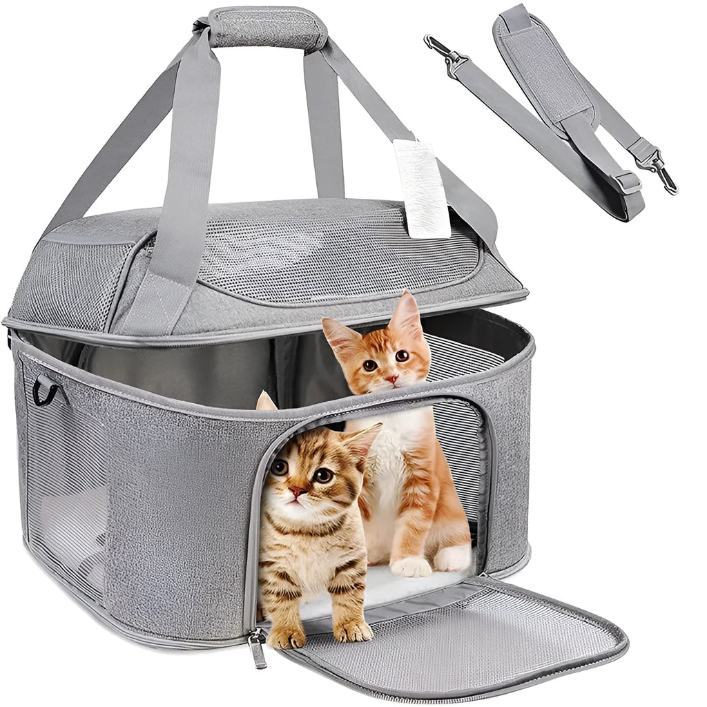 Breathable pet carrier backpack with hard baseplate for dogs and cats in black