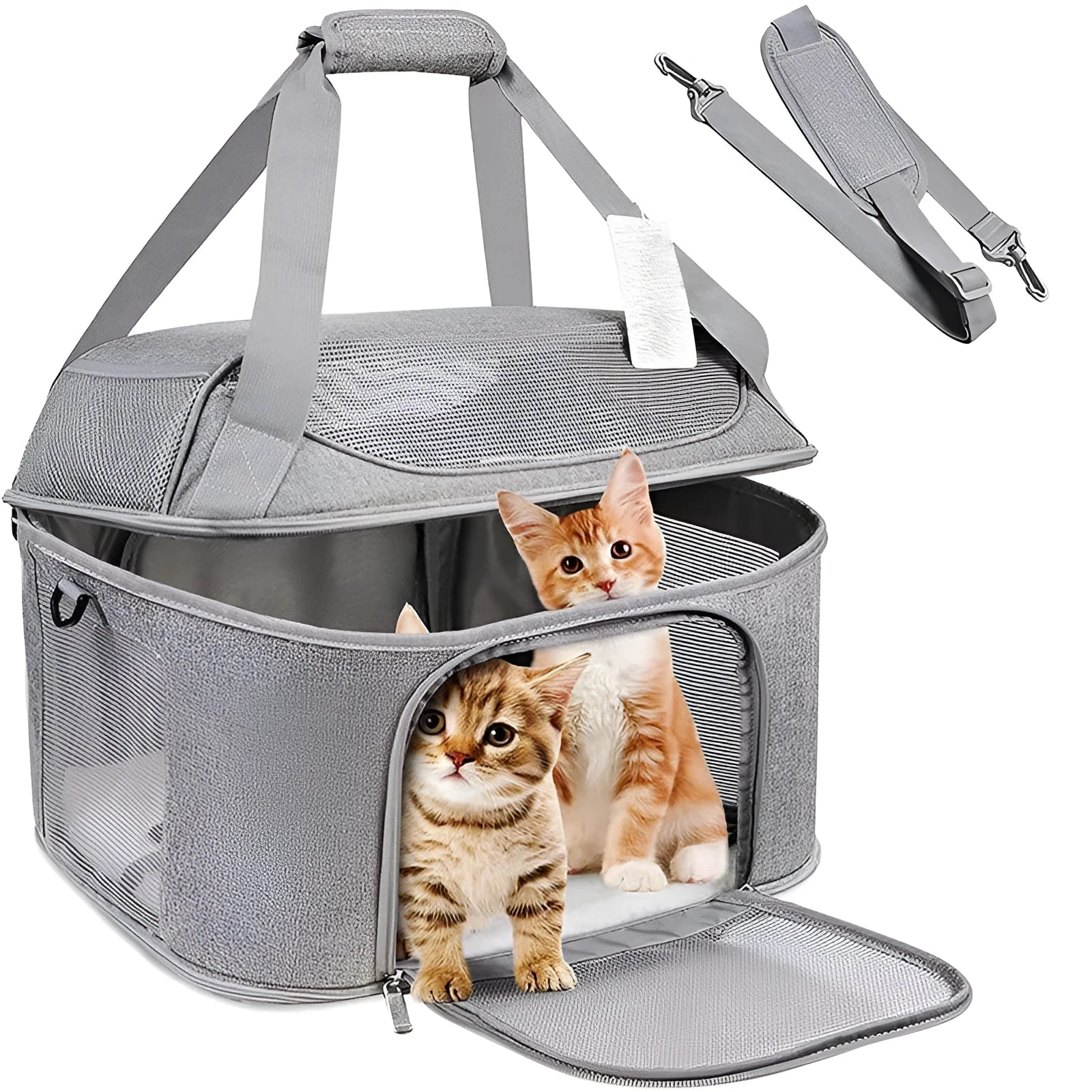 Breathable pet carrier backpack with hard baseplate for dogs and cats in black