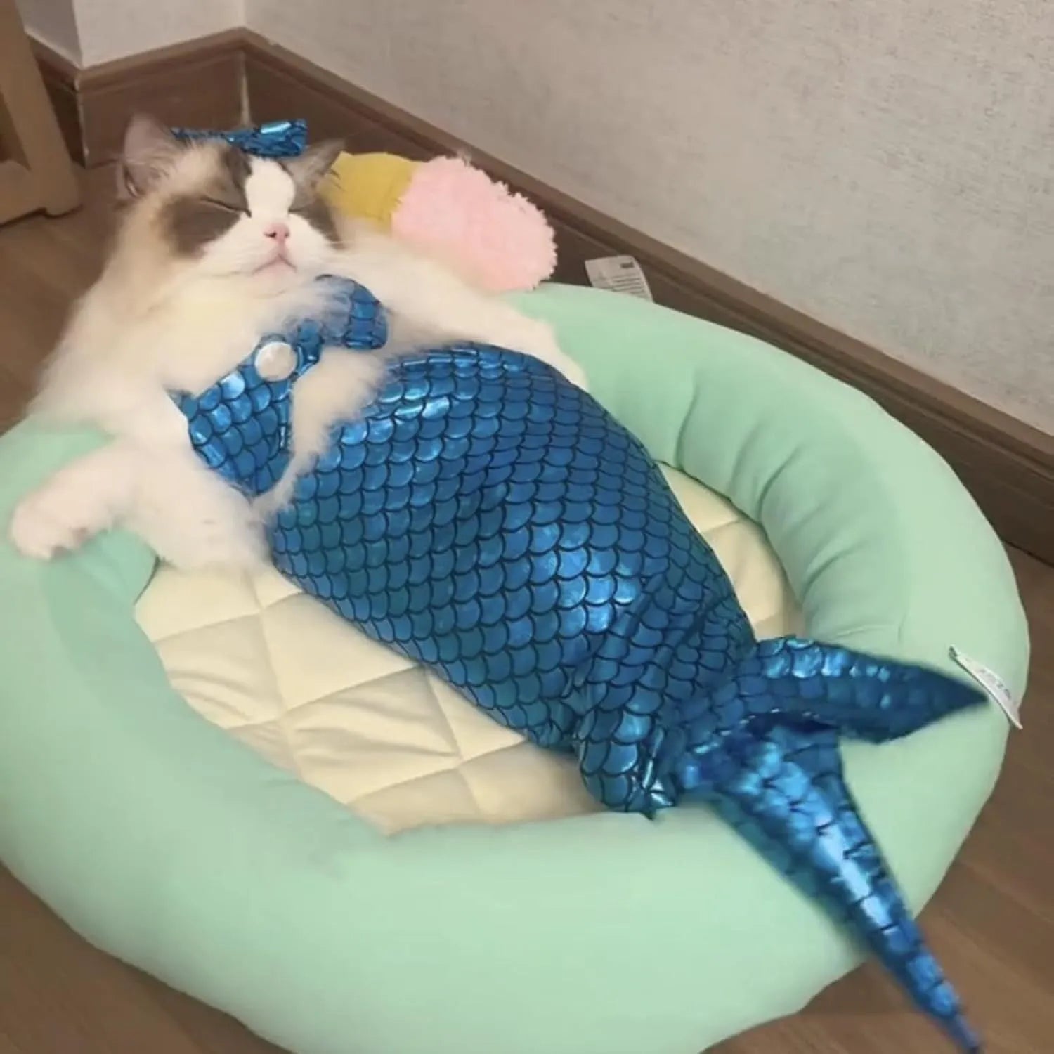 Blue or pink mermaid costume with scaly tail and bow on a small cat or dog
