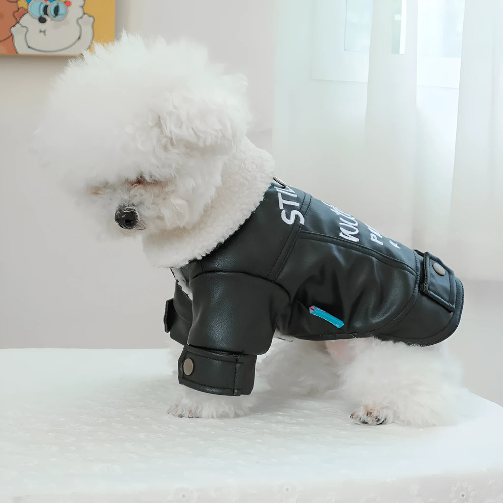Fleece lined padded dog coat in beige on a small dog, showing polyester outer and secure chest fastening