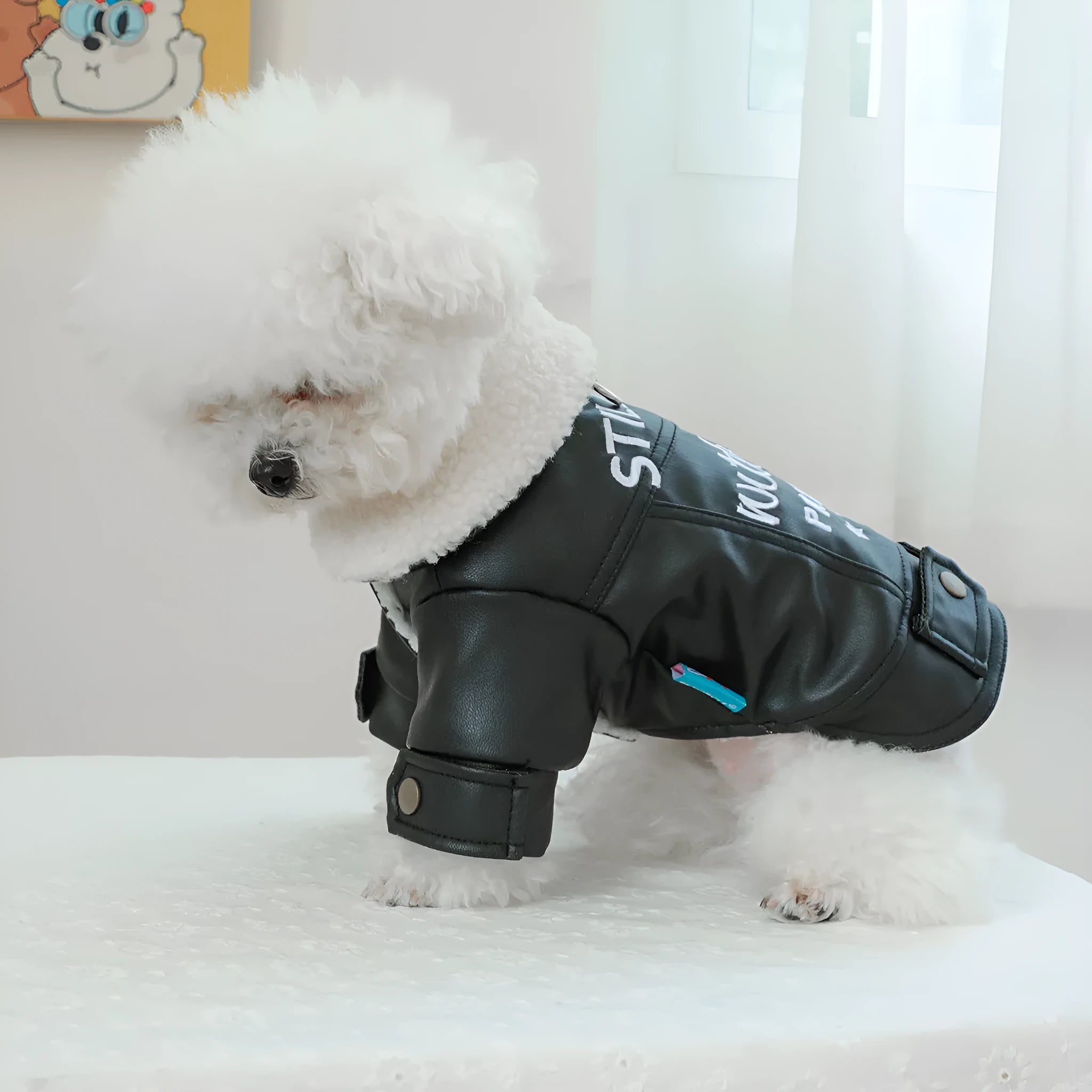 Fleece lined padded dog coat in beige on a small dog, showing polyester outer and secure chest fastening