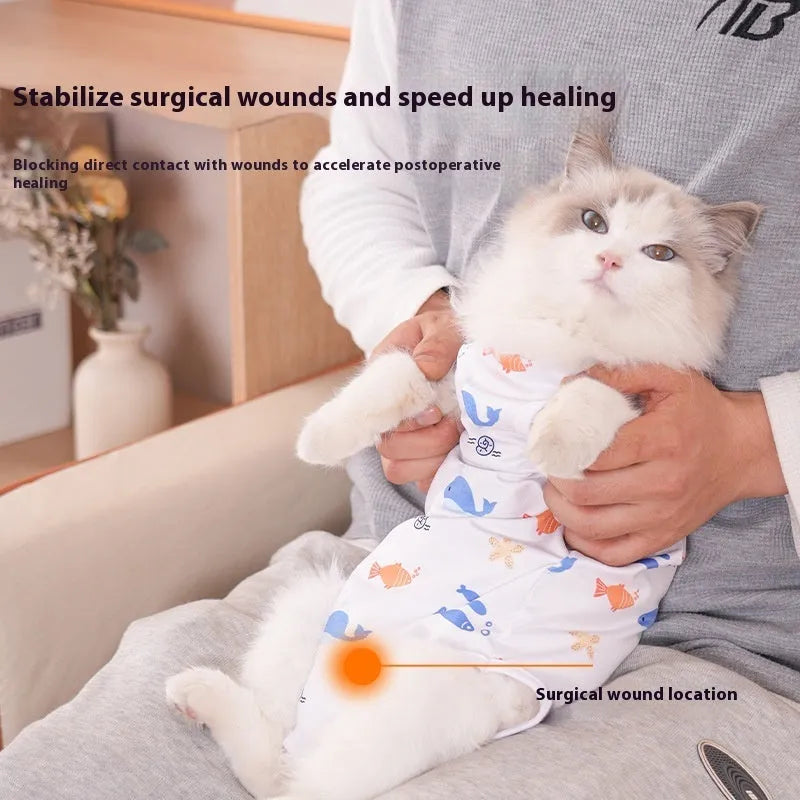 Cat wearing sterilisation recovery suit with Velcro closure in colourful print design
