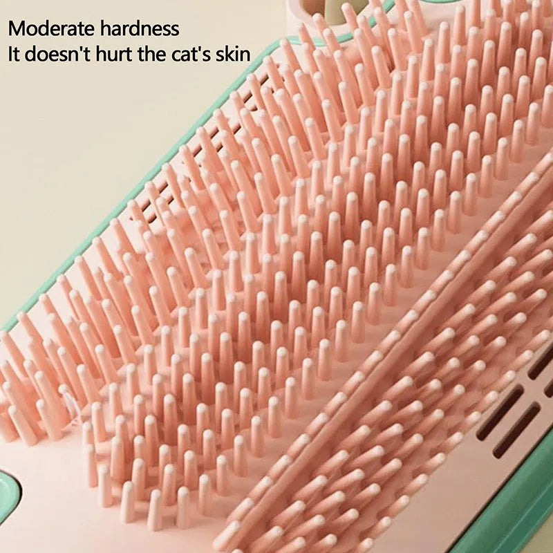 Ice cream cone shaped cat grooming toy with rubbing corner, mint ball and feather attachments