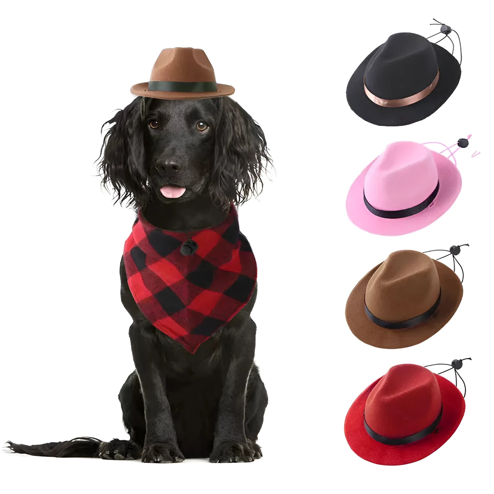 Small wool felt mini hat for pets in pink, black, brown, or red, S size 155cm circumference.
