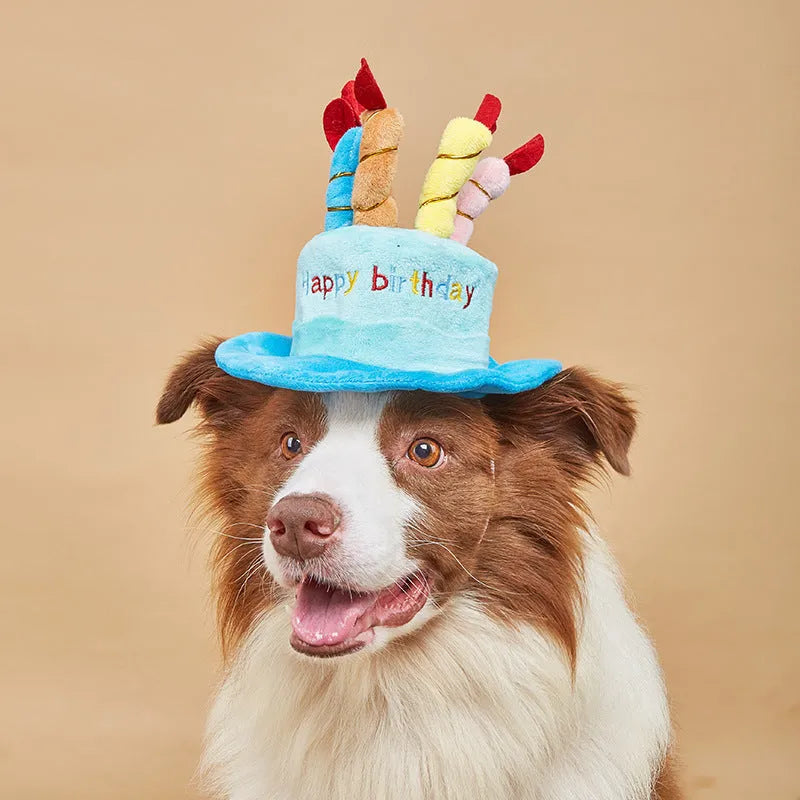Blue and pink birthday hat for dogs on a white background.