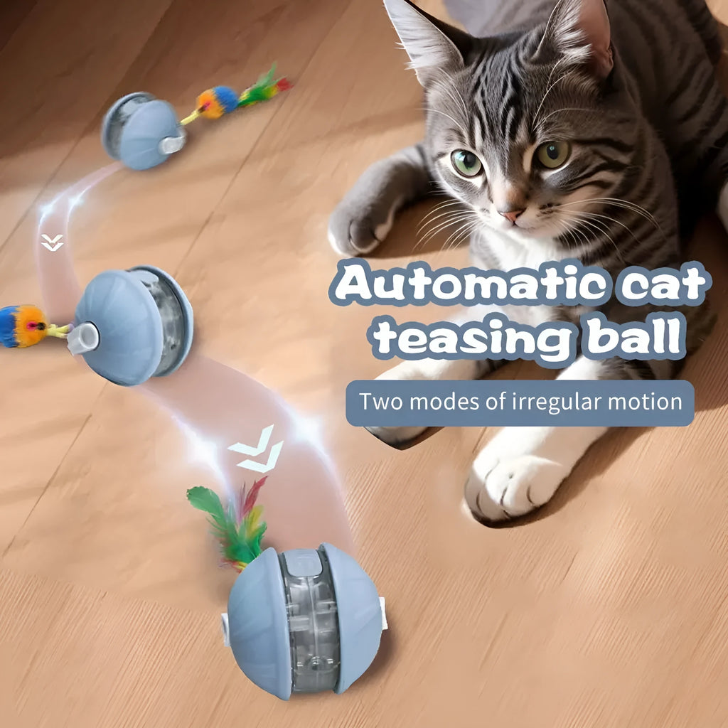 Upgrade cat interactive ball toy with faux tail, laser pointer, and voice reminder in colour options