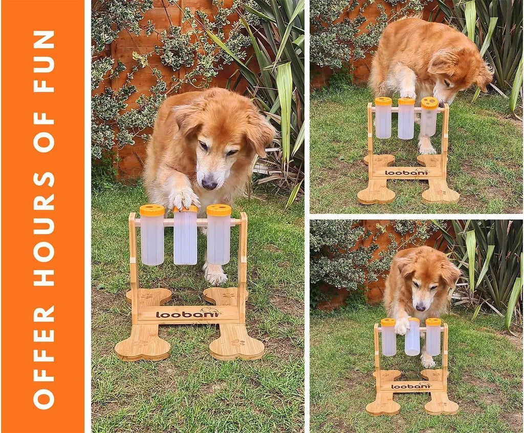 Wooden dog puzzle toy feeder with sliding panels measuring 31x30x20cm in natural wood colour
