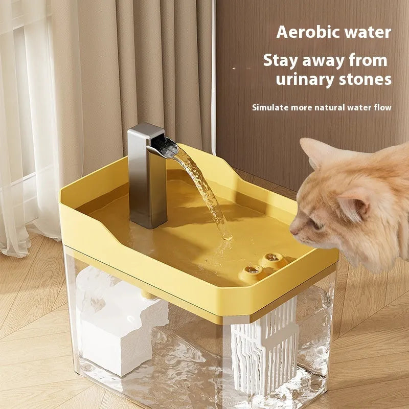 Transparent cat water fountain with circulation pump and filter system