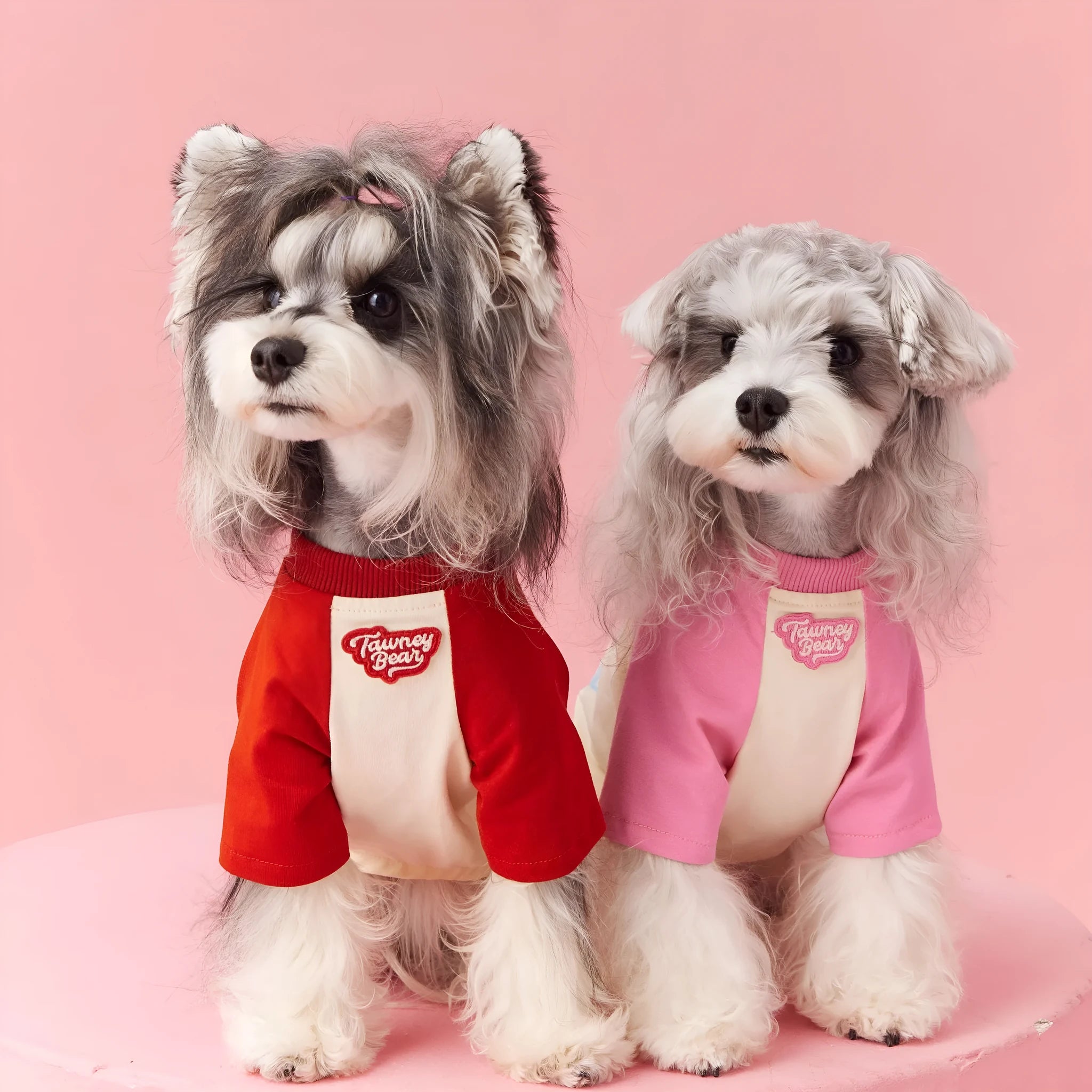 Red cotton dog summer clothes with contrast embroidery, shown on a mannequin.
