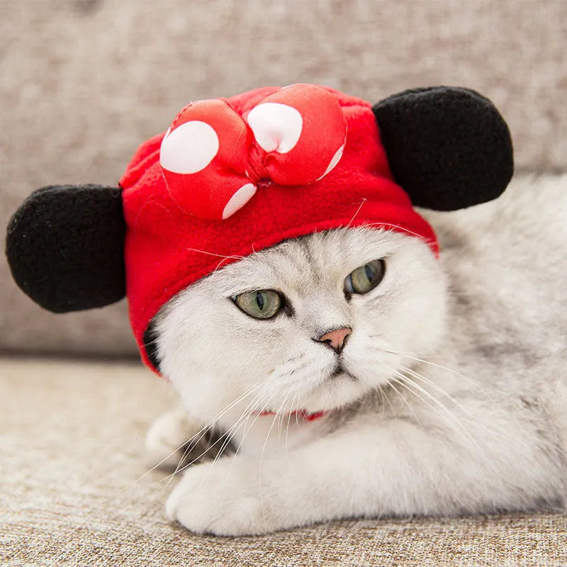 Tang suit cat costume in red shaker velvet with Velcro fastening and matching hat on a cat