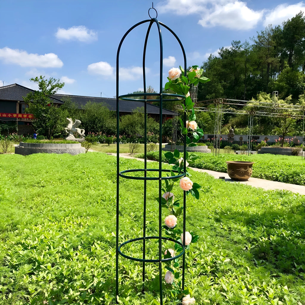 Dark green wrought iron plant climbing frame with lattice panels measuring 188 cm tall