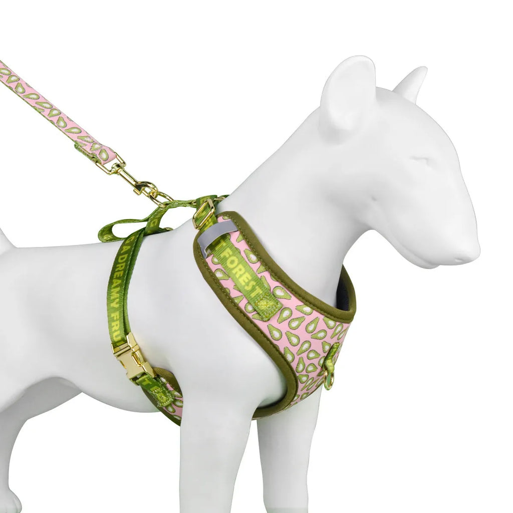 Polyester dog harness and leash set in colourful patterns for medium and large breeds