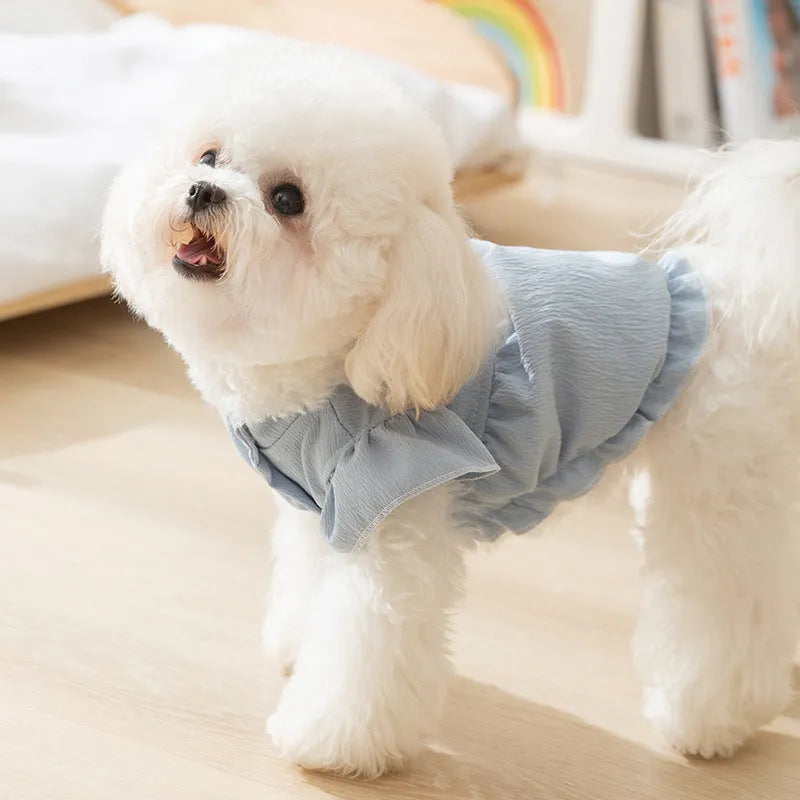 Solid colour polyester dog vest with flying sleeves in Bondi Blue on a small dog