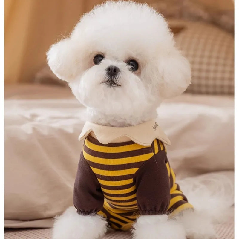 Yellow bee-patterned dog pajamas on small dog, four-legged full coverage suit with lapel collar