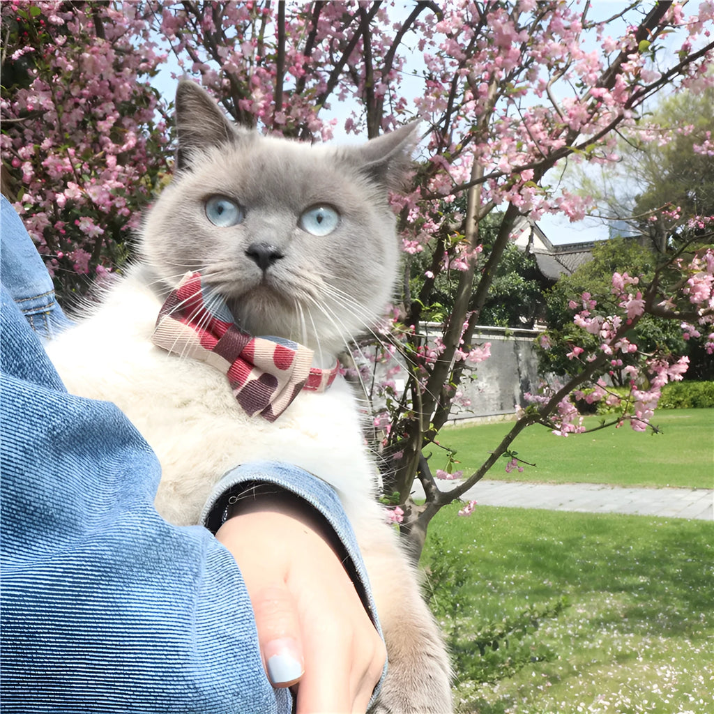 Camouflage Series bowknot pet collar in colourful finish on blue background