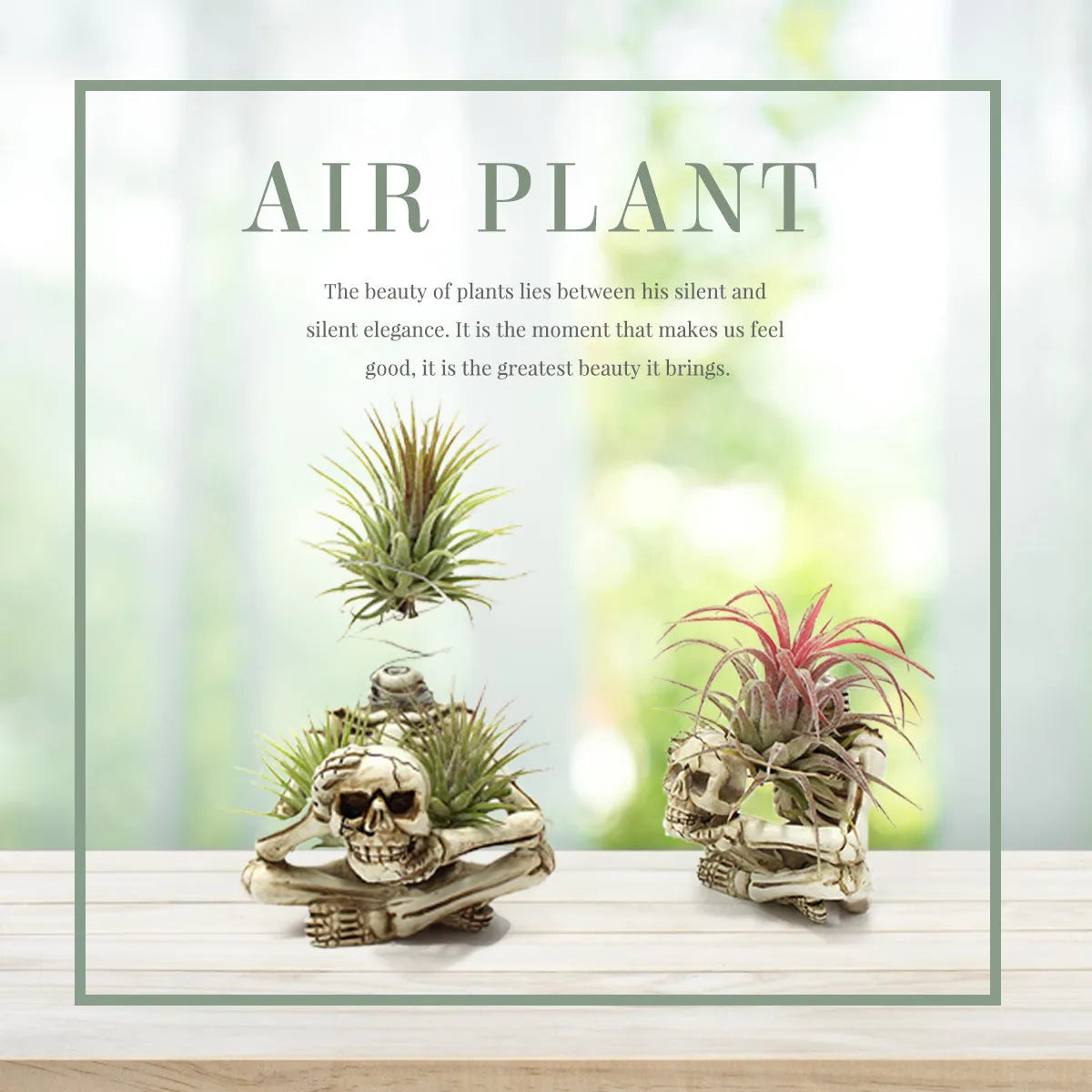 Gothic skull resin Tillandsia bracket measuring 7×8×12.5cm with soilless plant display