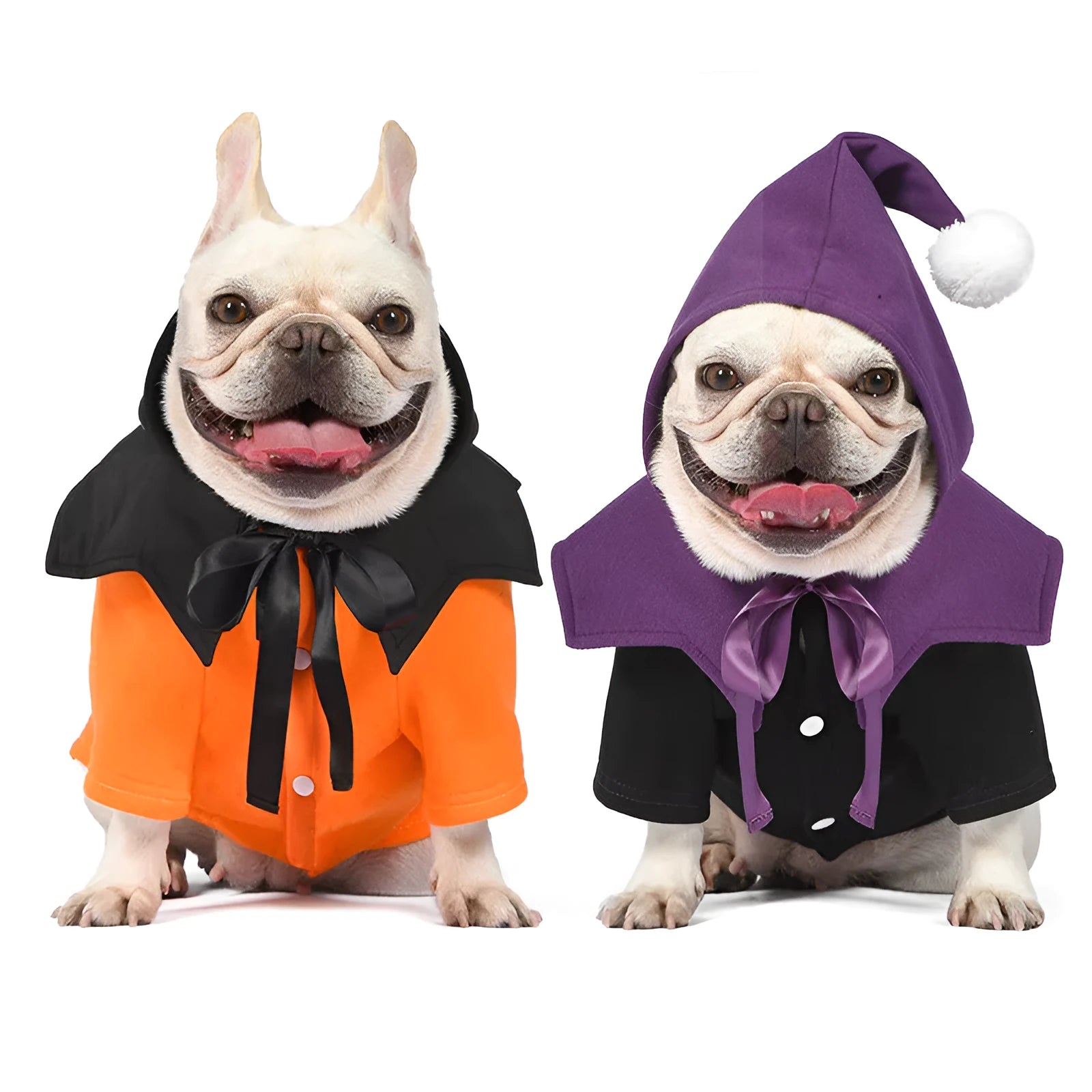 Halloween pumpkin dog costume with black and orange two-piece sweater and shawl