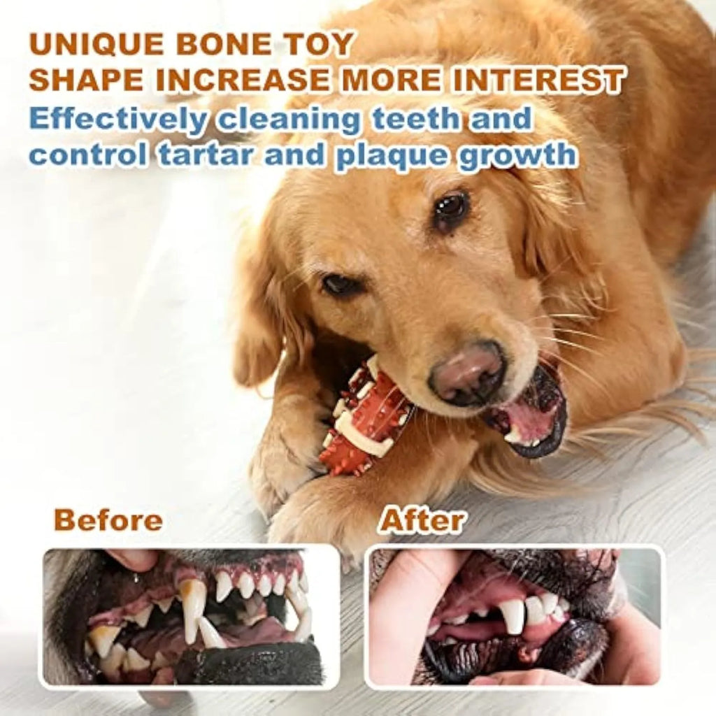 Natural rubber bone-shaped dog dental chew toy in two sizes for teeth cleaning and anxiety relief