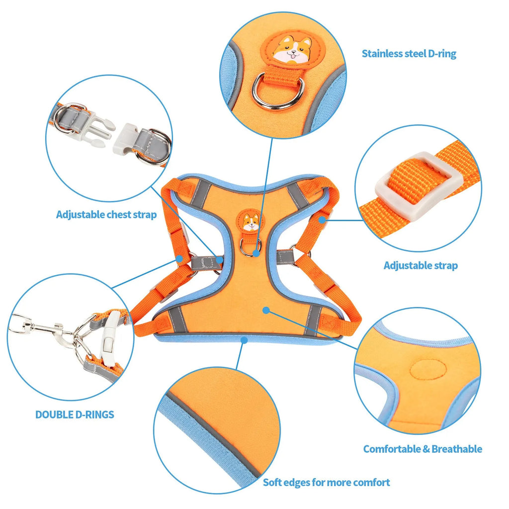 Adjustable dog haulage rope harness in multiple colours on a chest strap.