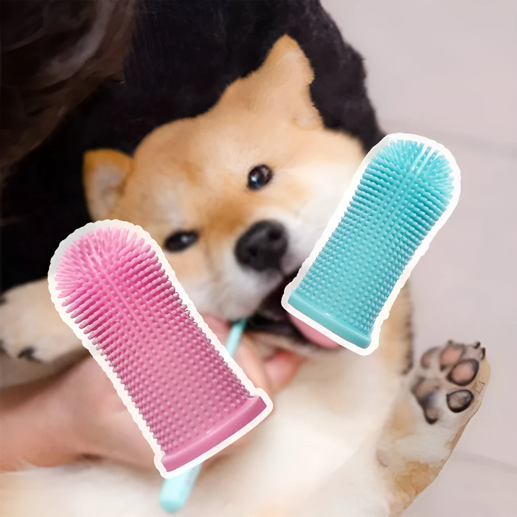 Soft silicone pet finger toothbrush in blue with protective case on white background