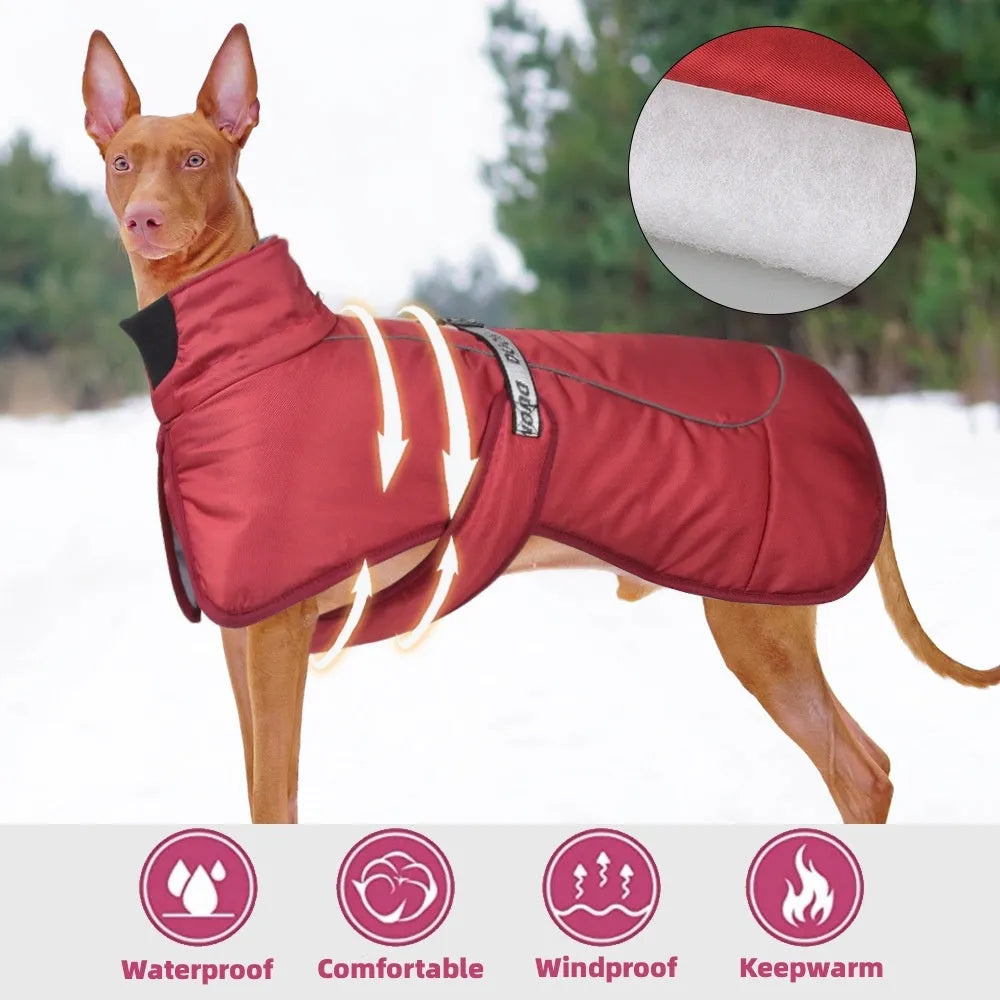 Dog wearing thickened warm reflective cloak-style vest in polyester, available in multiple sizes