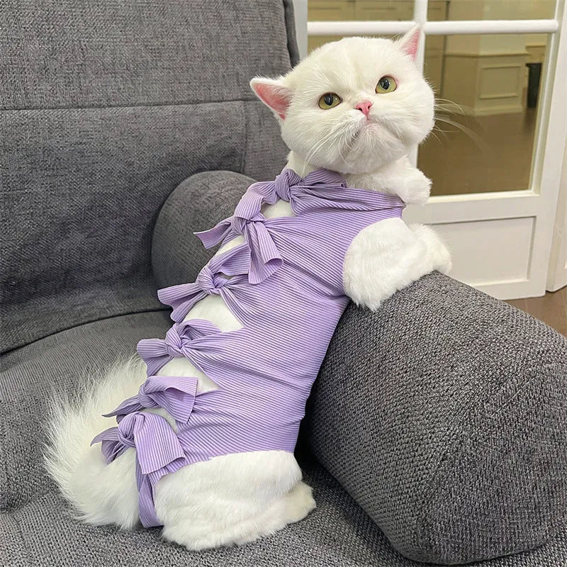 Cat wearing blue polyester recovery suit with lace-up back closure after sterilisation surgery
