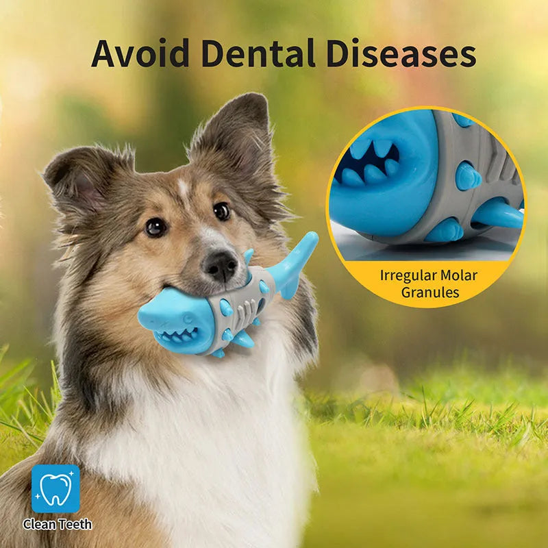 Shark tooth design dog teething toy in blue, grey, or yellow with cleaning ridges