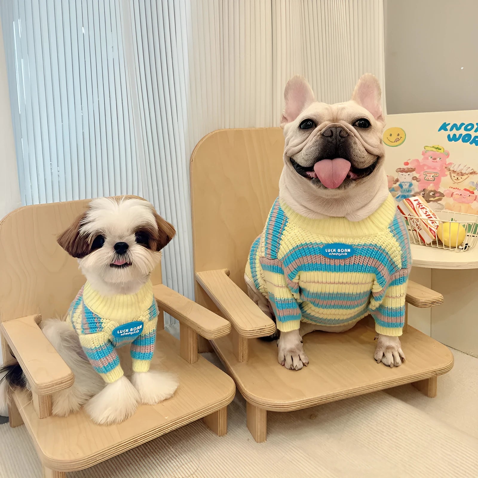 Blue and yellow striped wool dog sweater for small breed dogs in casual winter style