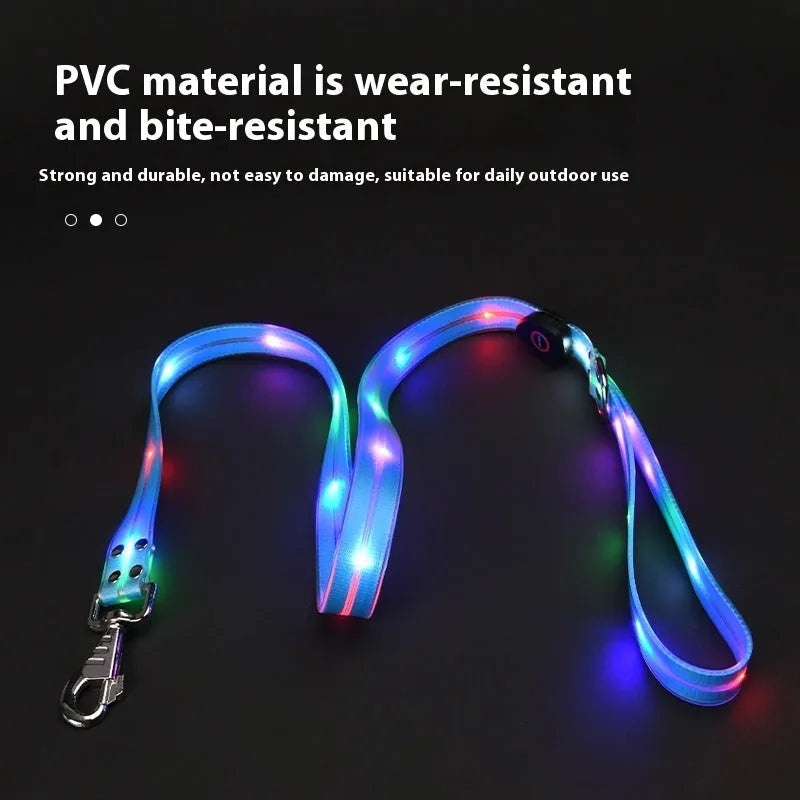 LED light-emitting pet collar and hand holding rope in orange for dog or cat visibility