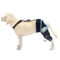 Dog hind leg knee brace assist strap in neoprene fabric showing adjustable design