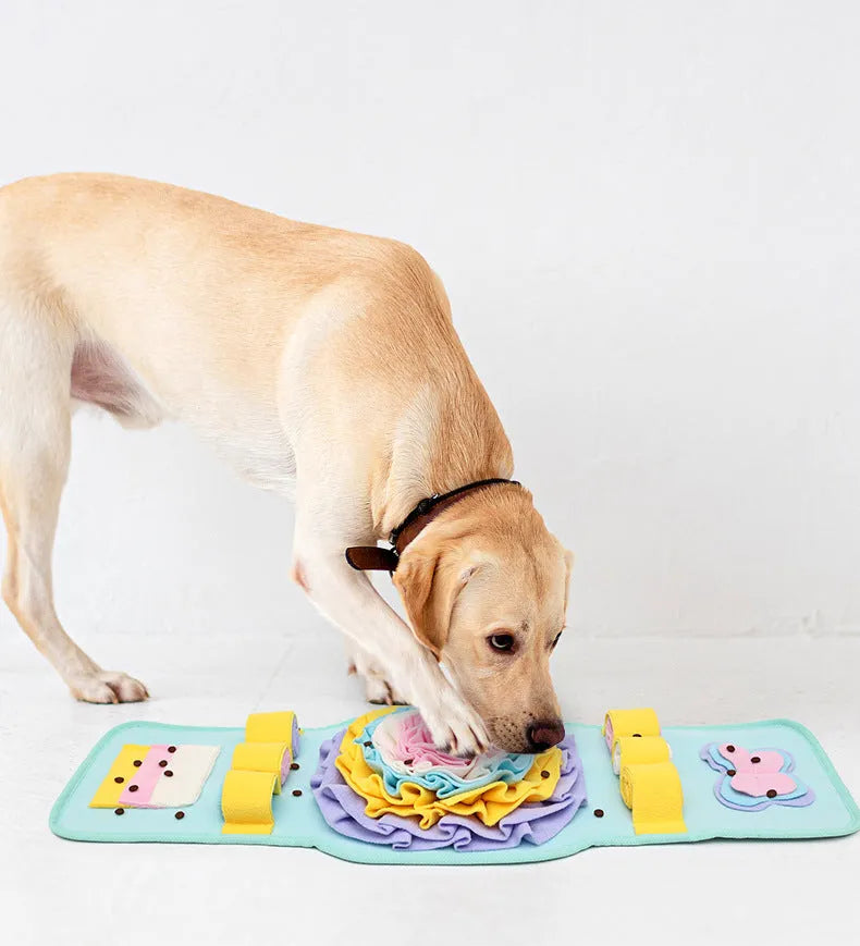 Watch-style dog training mat in blue and yellow, anti-slip base for slow feeding and nosework