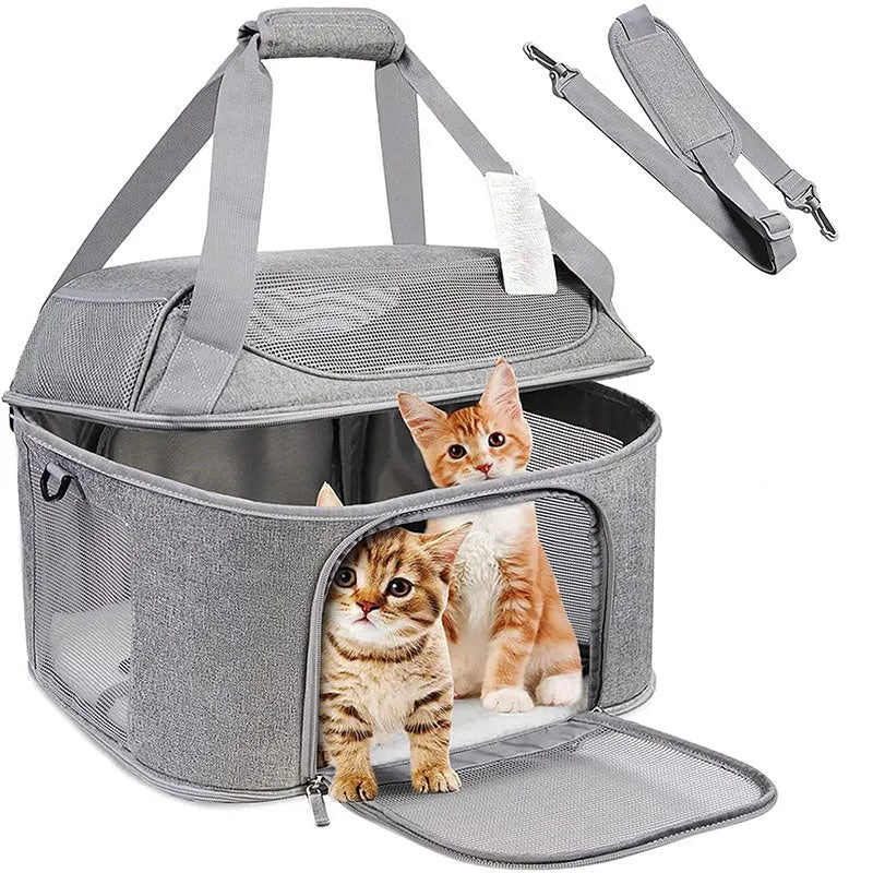 Breathable pet carrier backpack with hard baseplate for dogs and cats in black