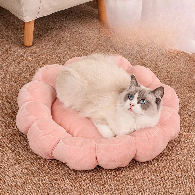 Blue half-surrounded plush pet bed with petal pattern, measuring 50x50cm, for dogs and cats.