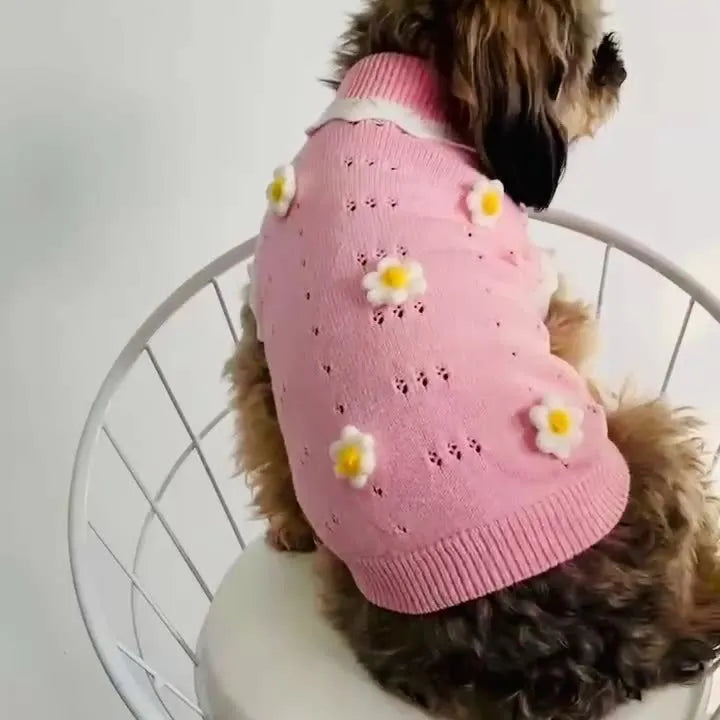 Green flower blossom pattern knitted sweater on a small dog, showing size and style.