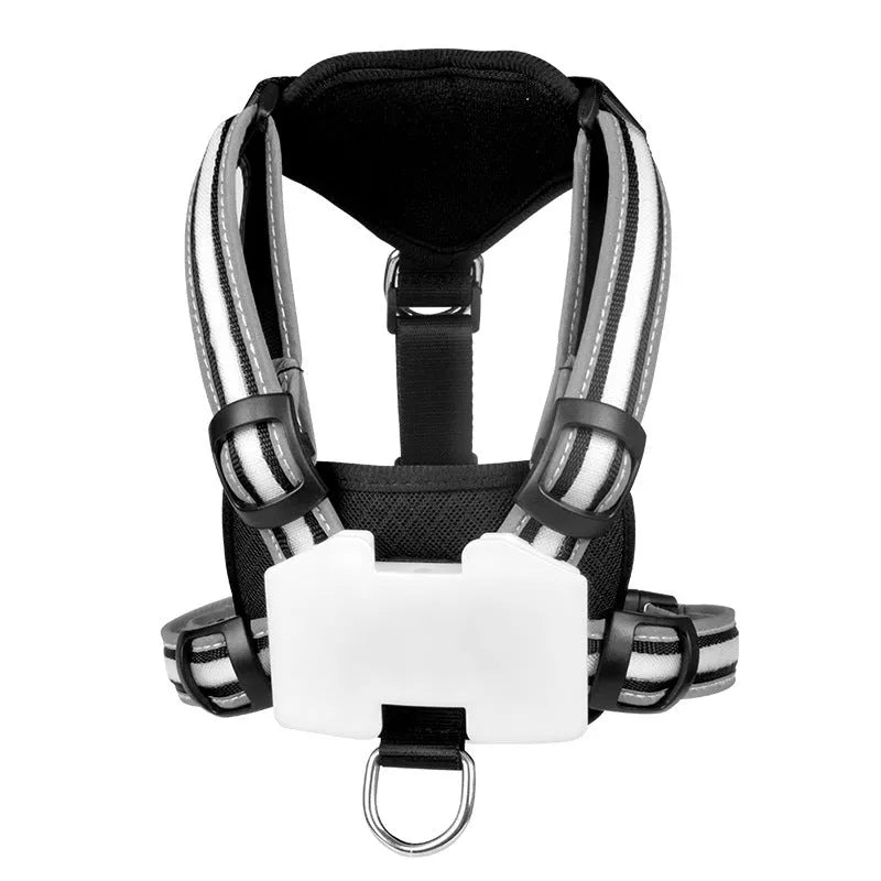 Nylon dog lead with a glowing seven-colour luminous strap and a USB charging cable.