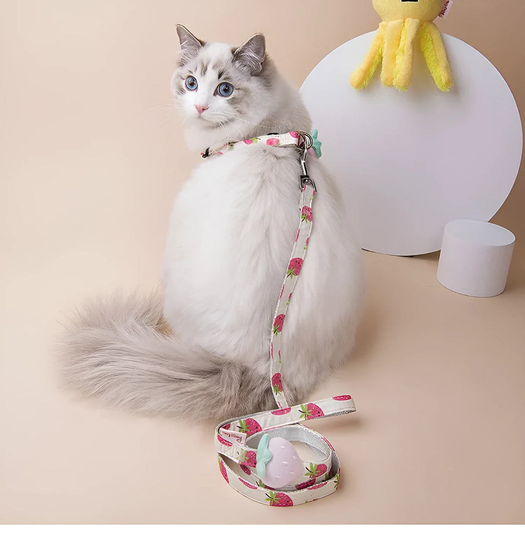 Fruit print dog collar and leash set in polyester, adjustable collar 26-41cm or 30-55cm, 1.2m leash, green, pink or yellow