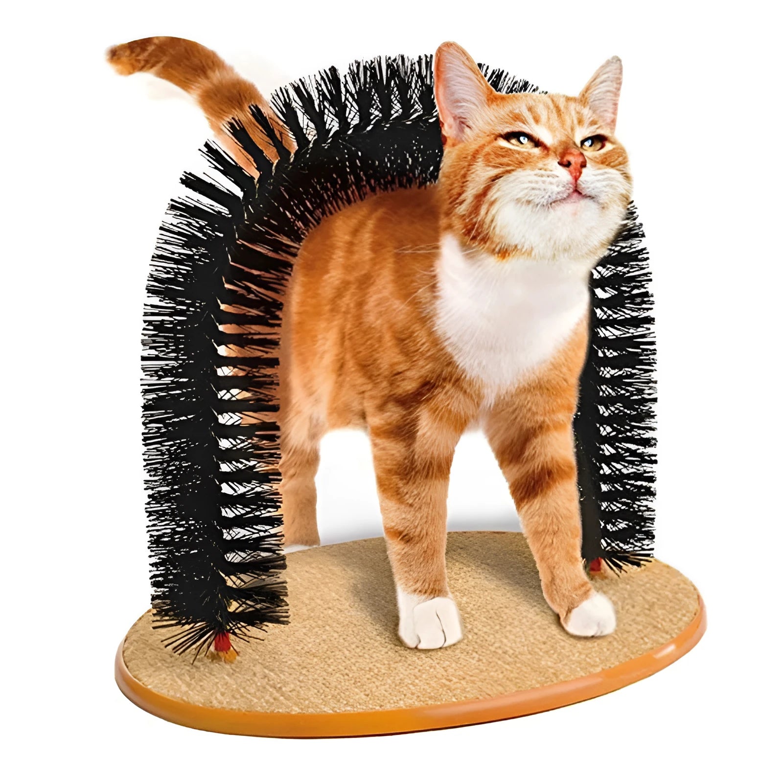 Arched cat grooming toy with integrated brush bristles for scratching and self-grooming