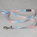 Nylon dog leash set showing gradient colour options including pink/blue, pink/yellow patterns