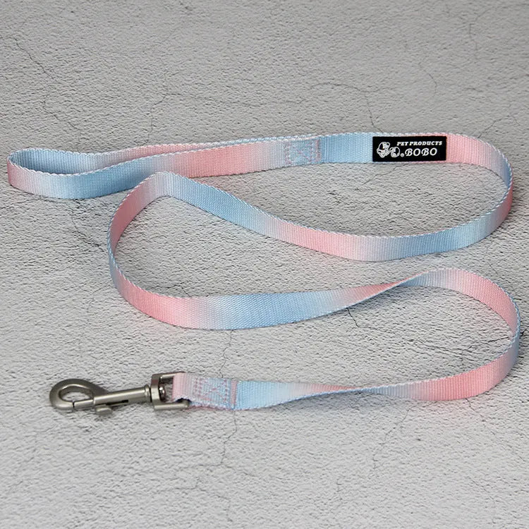 Nylon dog leash set showing gradient colour options including pink/blue, pink/yellow patterns